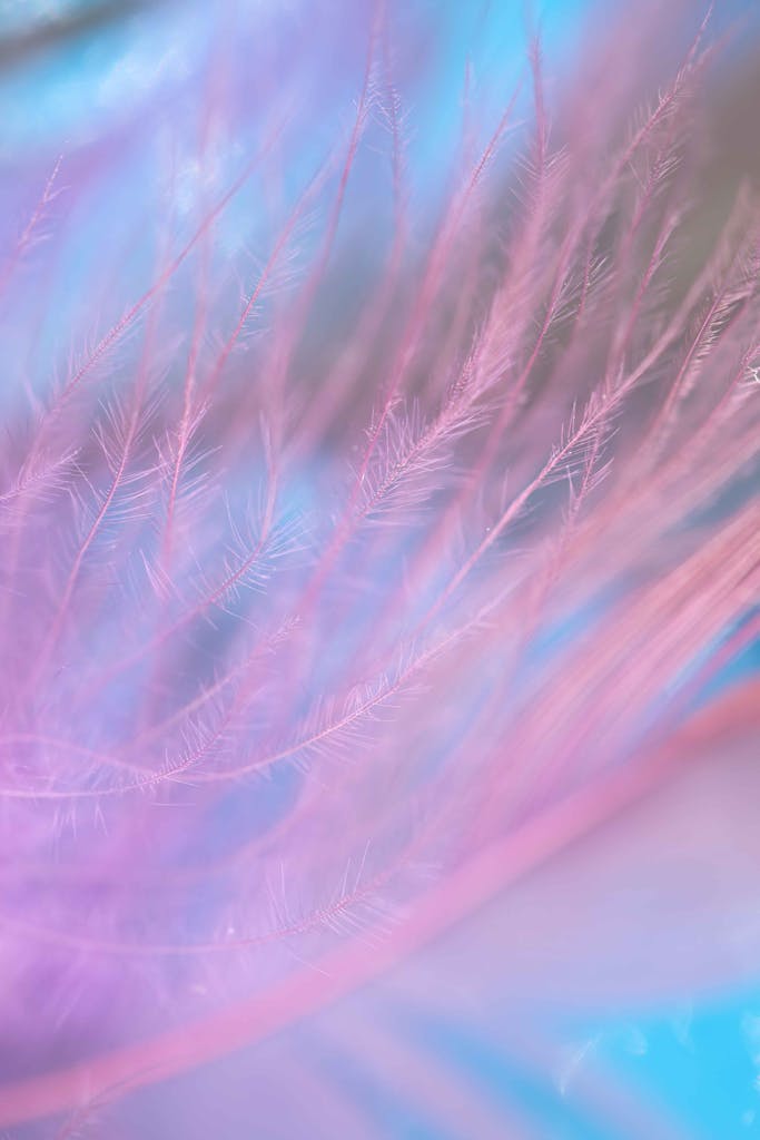 Abstract pastel feather design with vibrant colors and soft focus.