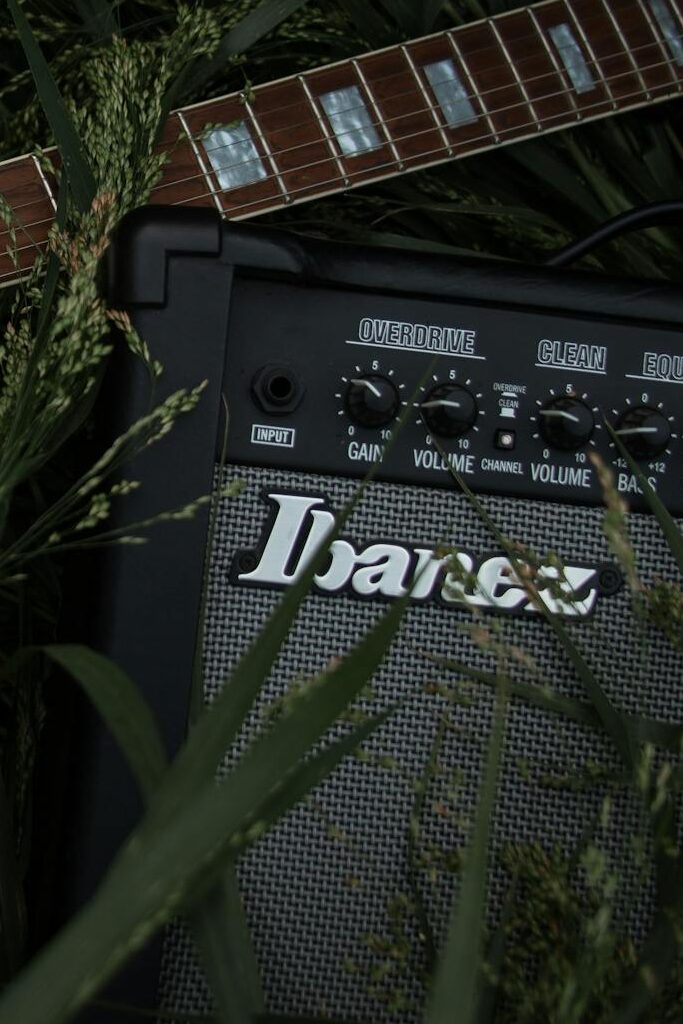 An electric guitar and amplifier nestled in tall grass, showcasing a blend of nature and music.